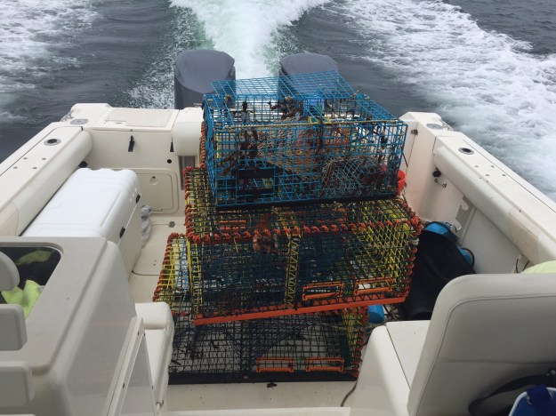 lobster-traps-on-boat