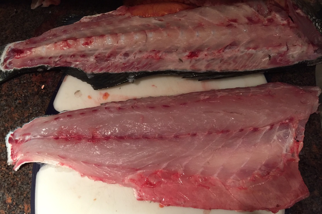 striper-fillets