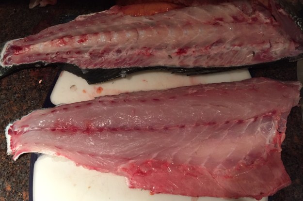 striper-fillets