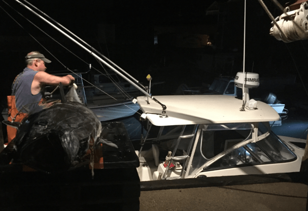 bigmouth-tuna-dealer-gloucester