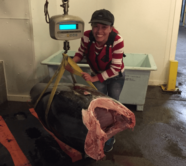 bluefin-tuna-weighing