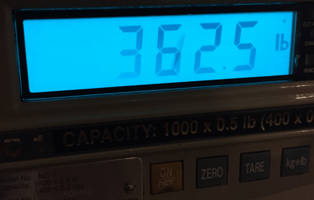 tuna-weighing-362lbs